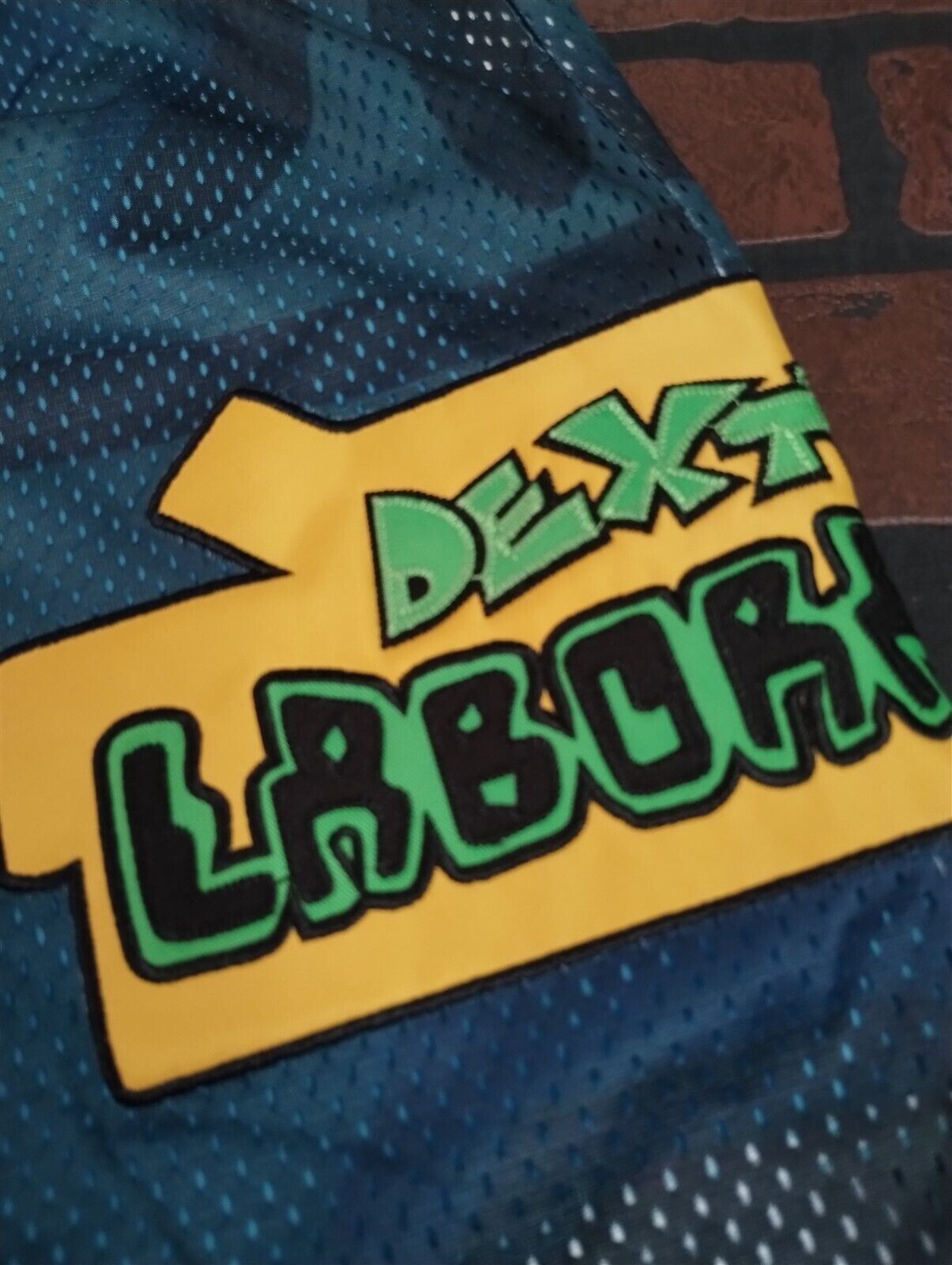 DEXTER'S LAB Headgear Classics Basketball Shorts