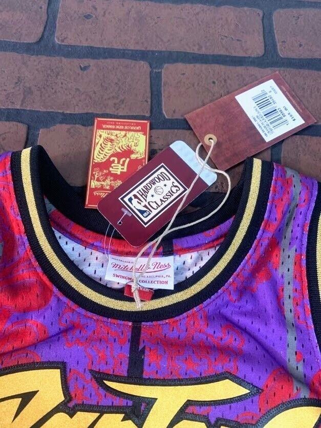 Vince Carter Toronto Raptors Mitchell and Ness Basketball Jersey