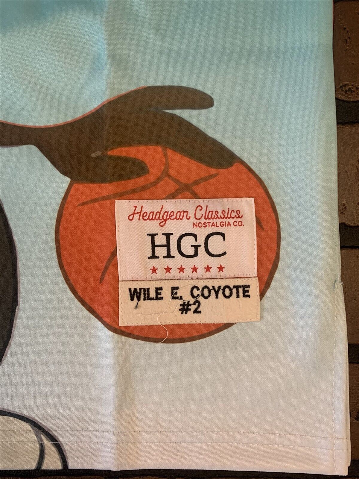 WILE E COYOTE Headgear Classics Basketball Jersey