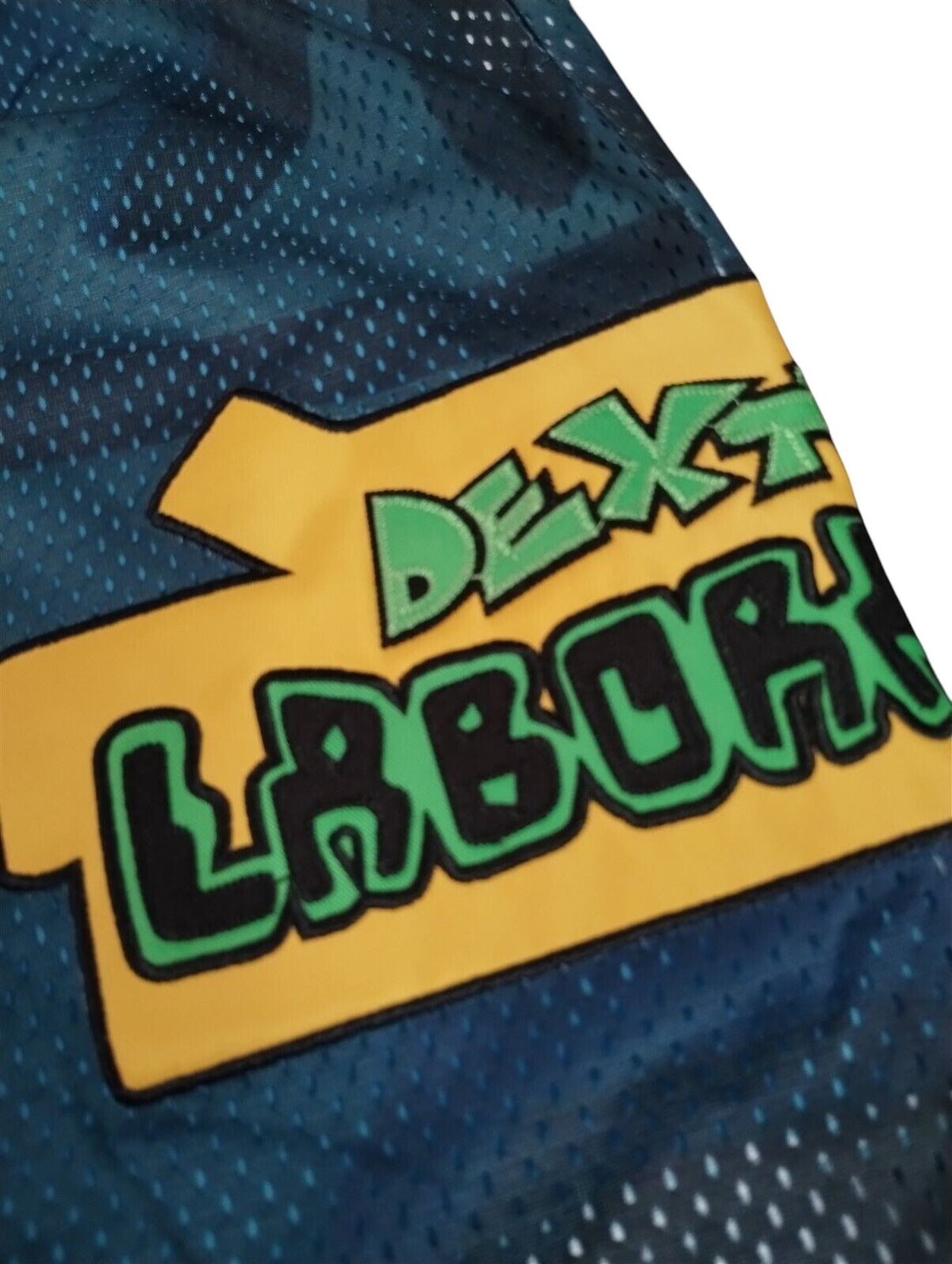 Throwback Rack Dexter's Laboratory teal mesh athletic shorts featuring a vibrant yellow and green embroidered logo patch