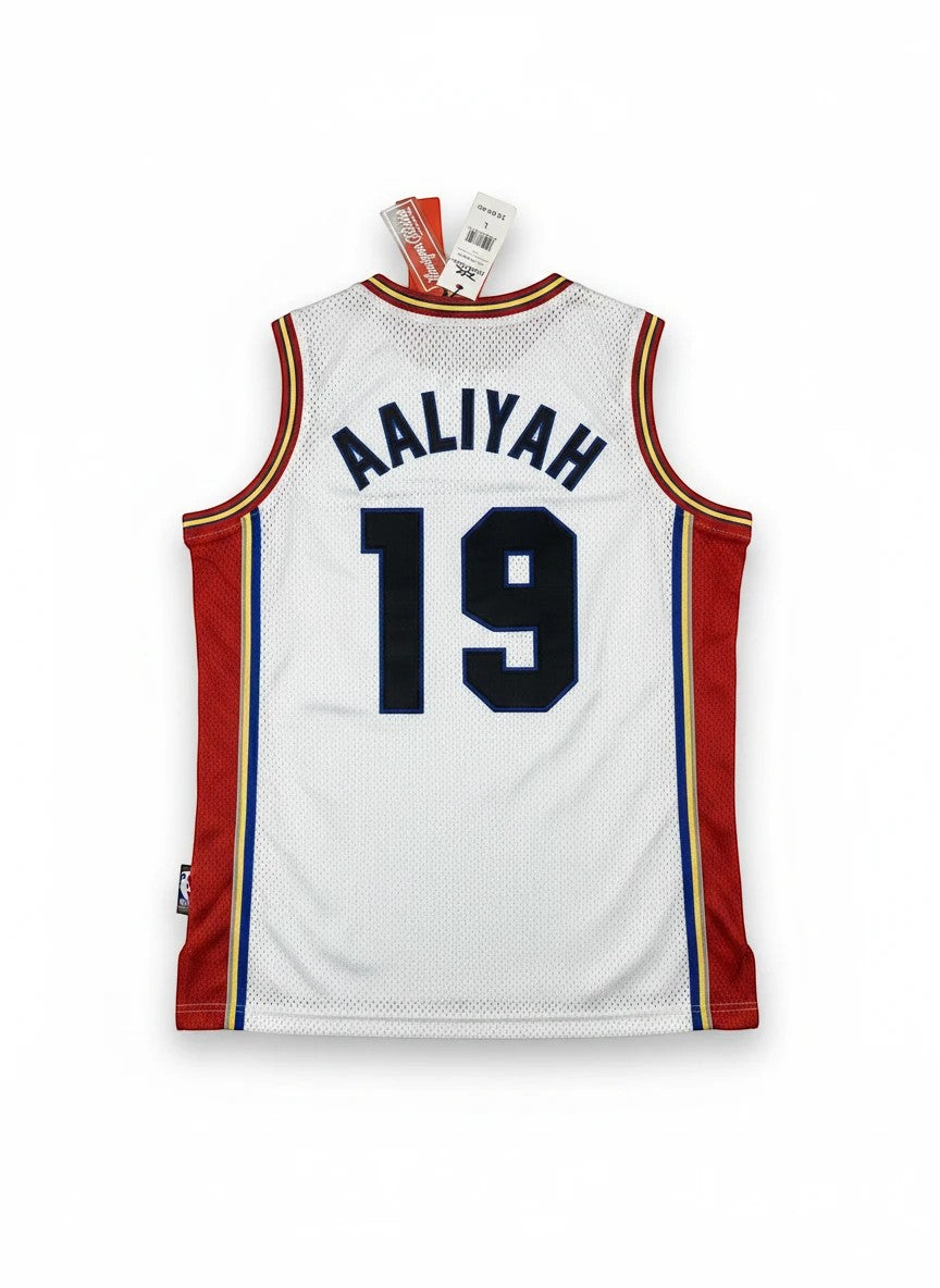 Throwback Rack Aaliyah Brick Layers Basketball Jersey, white mesh with red side panels and gold/blue trim. Features "AALIYAH" and "19" on back.