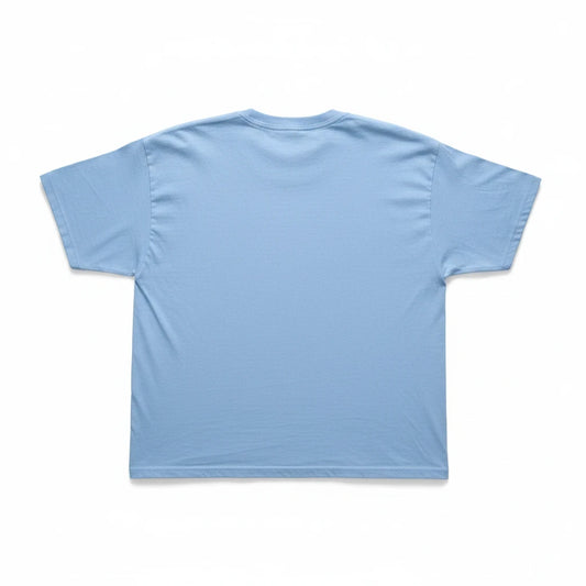 Throwback Rack light blue cropped t-shirt, back view, showing a simple, solid-colored casual boxy fit design.